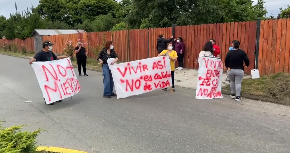 Excremento y ruidos: vecinos de Antilhue en Los Lagos protestaron por presencia de cientos de aves