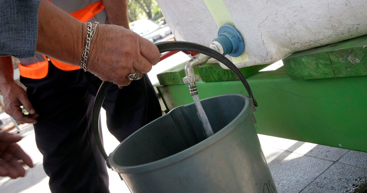 Vecinos de Río Negro buscan frenar plantación de eucaliptus por impacto en suministro de agua