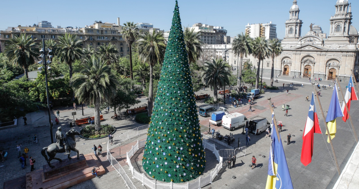 Vuelve el árbol de Navidad más grande de Santiago: así el municipio gestó su regreso junto a Dr. Simi