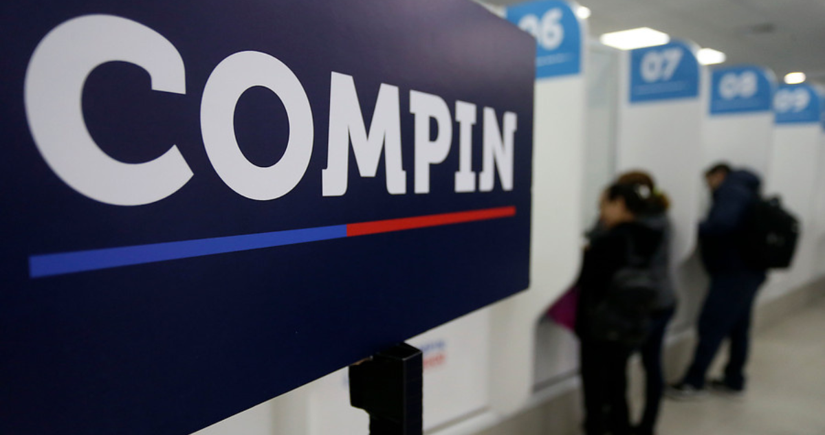 Alerta en Compin de Puerto Montt por especies de 5 hongos que estarían afectando salud de funcionarios