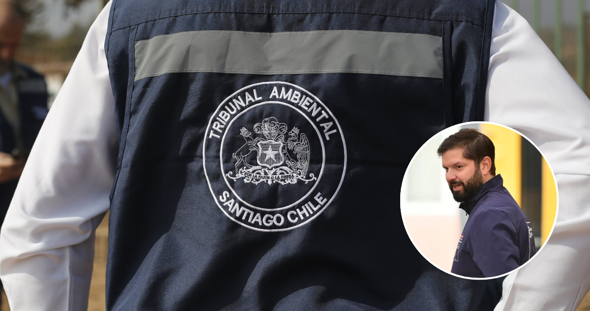 UDI acusa “amarre” de última hora: polémica por nombramientos del Gobierno en 2 tribunales ambientales