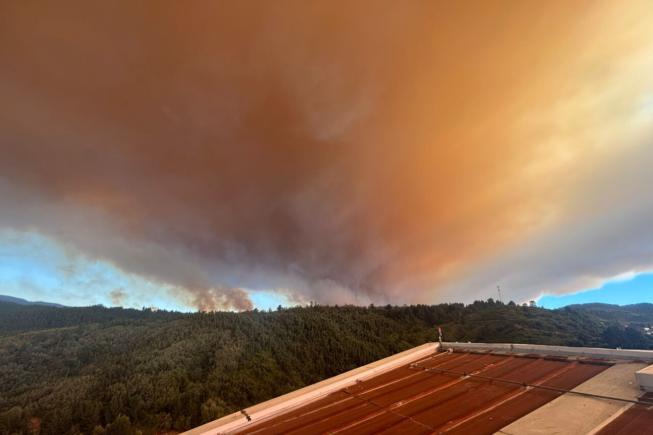 Alcalde de Quillón: “Es un incendio devastador, sin parámetro antes visto”