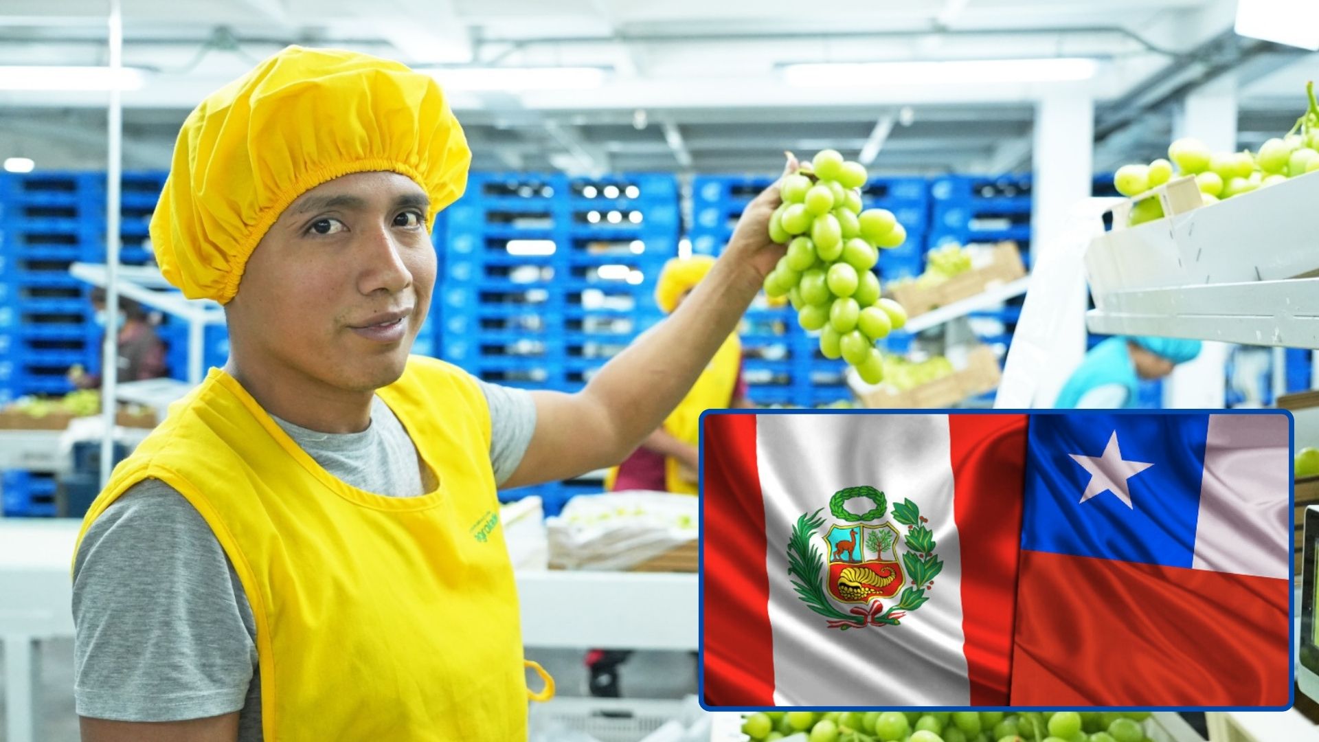 El avance peruano que desafía el dominio agroexportador de Chile y lo deja como líder