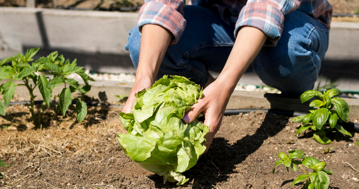 Agua y energía solar: 22 proyectos de La Araucanía serán financiados por Fondo de Protección Ambiental
