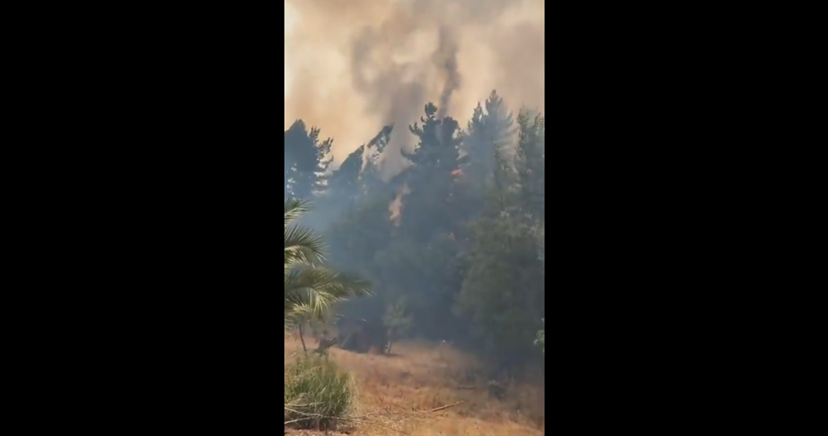 Declaran Alerta Roja para Galvarino y Nueva Imperial por incendios forestales