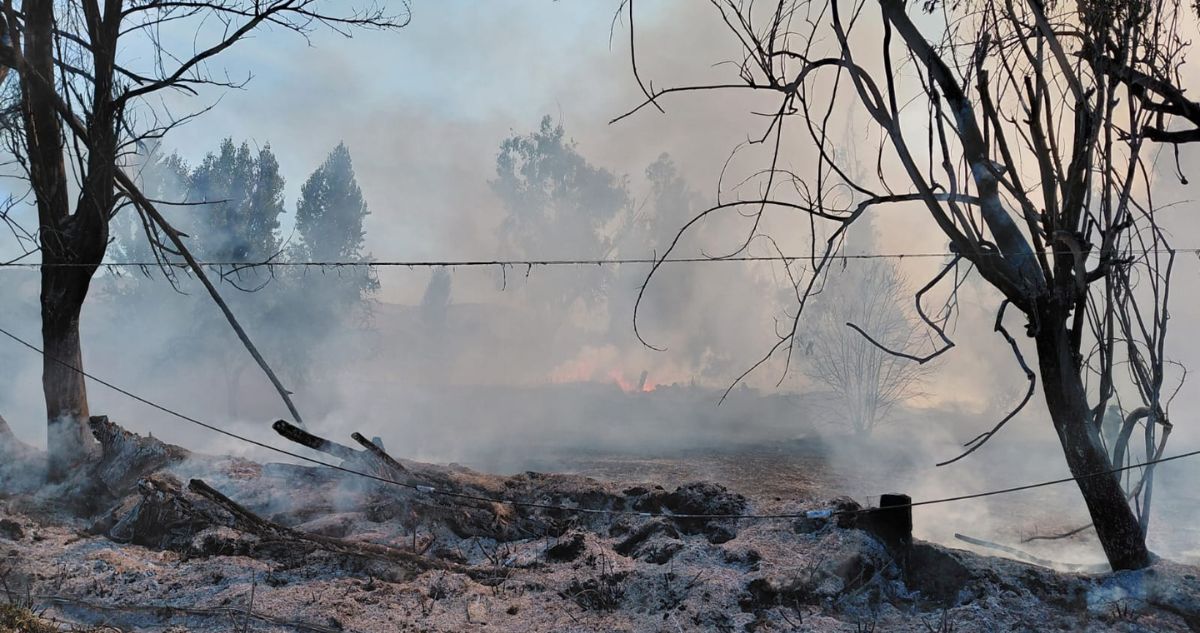 Evacúan hogar de menores por incendio forestal que desarrolla en Lampa