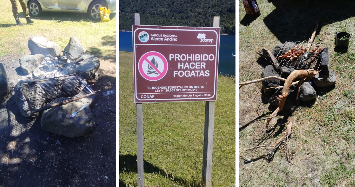 Realizan fogatas en Parque Nacional Alerce Andino en Los Lagos: dos hombres fueron detenidos