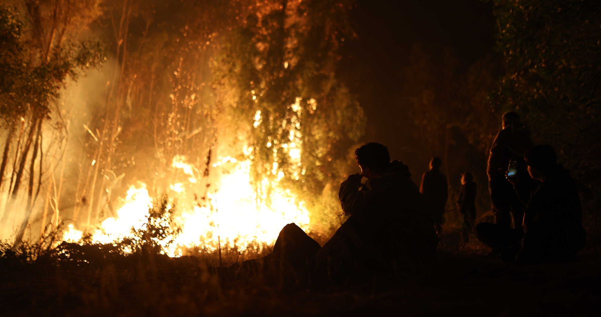 Personal de Conaf y voluntarios de Bomberos en combate de incendio forestal.
