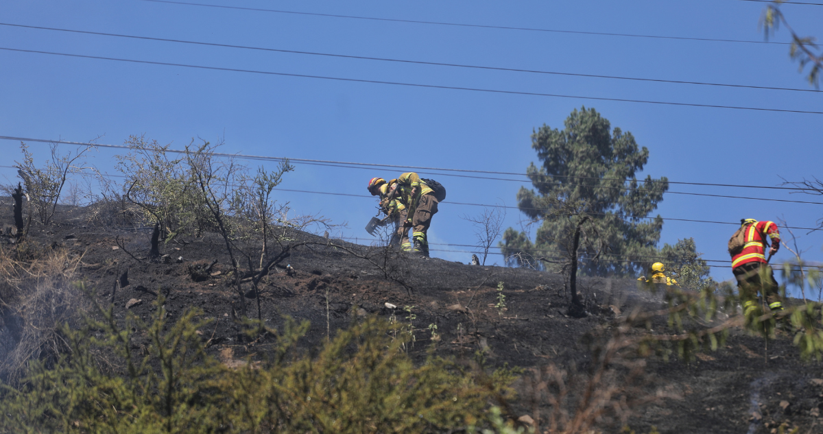 Balance de Conaf en la región del Bío Bío tras Cogrid: 15 incendios controlados y 6 aún en combate