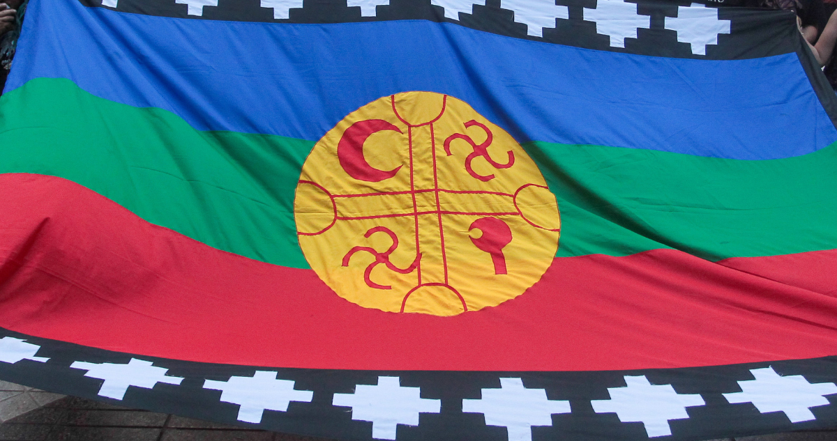 Temuco: demanda de restitución de más de 2 mil hectáreas por parte de comunidad preocupa a vecinos