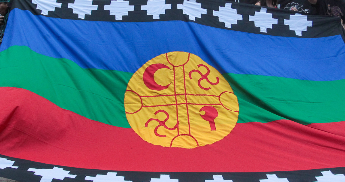 https://media.biobiochile.cl/wp-content/uploads/2026/01/bandera-mapuche.png