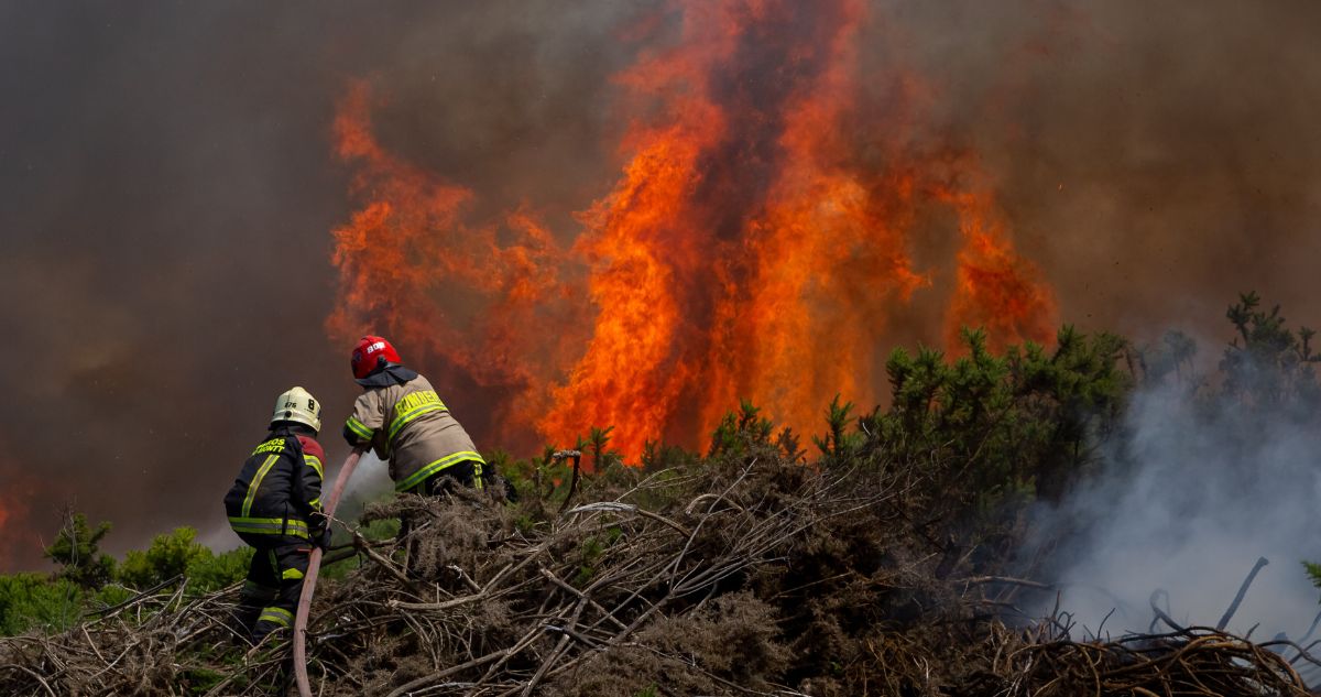 Bomberos de Angol acusan que voluntarios fueron amenazados con disparos en un incendio forestal