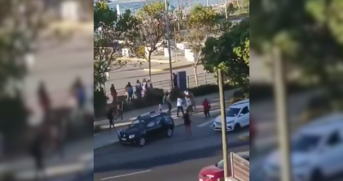 Captan violenta riña que involucró a turistas y dejó 5 lesionados en borde costero de Viña del Mar