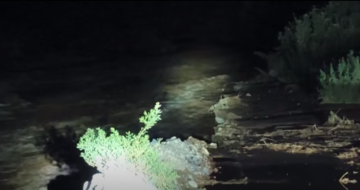 Ordenan evacuar dos sectores en Huara por desborde en ribera de río en Quebrada Tarapacá