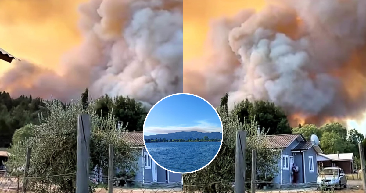 FOTOS | Alerta Roja para Ránquil por incendio forestal: humo se observa en comunas de Ñuble y Bío Bío