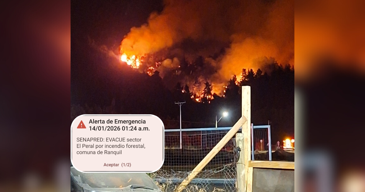 Ordenan evacuar sector El Peral en Ránquil a raíz de incendio forestal: 40 hectáreas arrasadas
