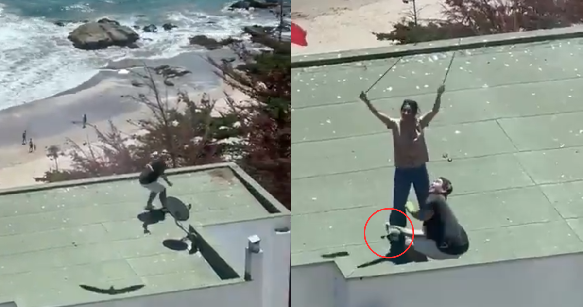 Indignación en Maitencillo: captan a pareja arrojando polluelos de gaviota desde terraza de edificio