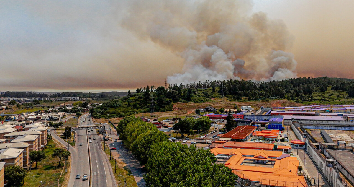 CGE informó que incendios forestales en el Bío Bío han dejado sin luz a 40.151 clientes