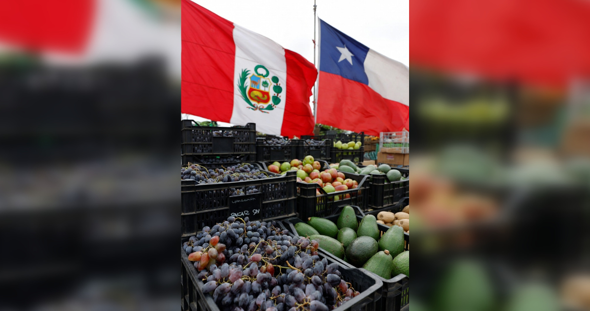 ¿Rivalidad agrícola? Perú dice que gracias a uvas y paltas superará a Chile en exportaciones del agro