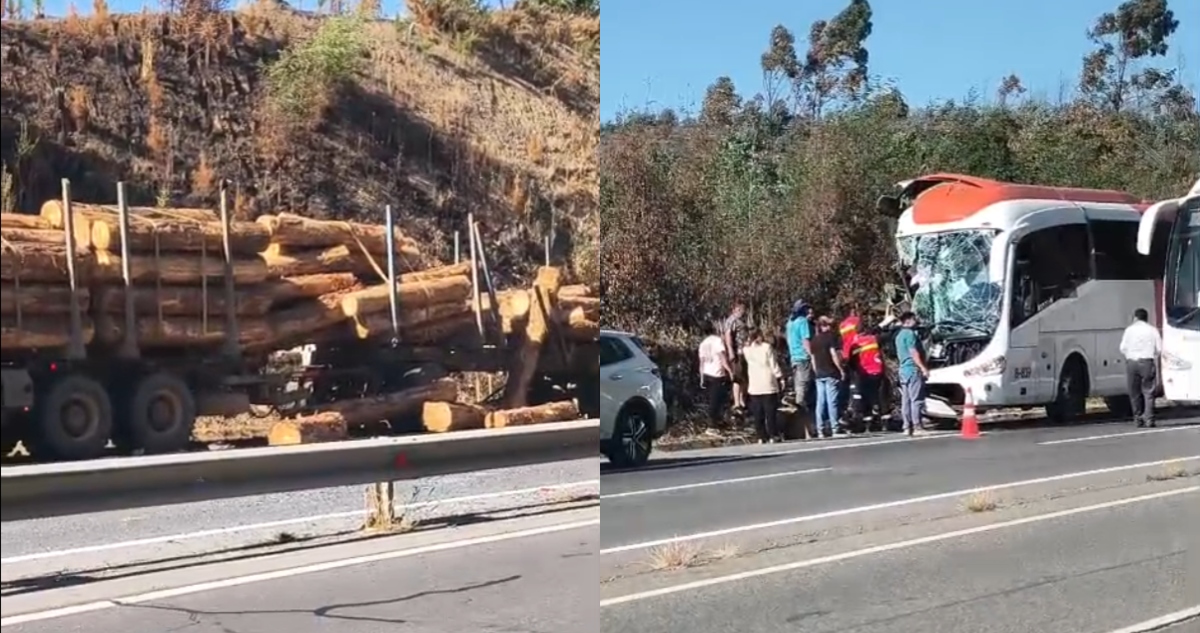 Bus choca con camión maderero en Ruta del Itata