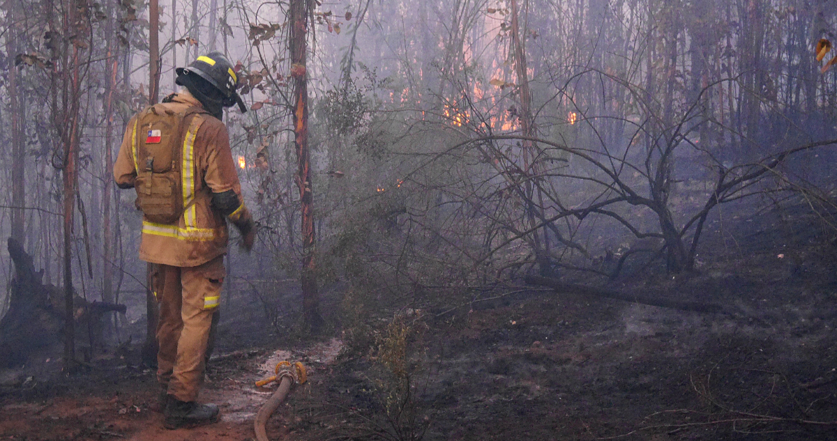 Cuestionan al Gobierno por ataque a brigadistas en Curanilahue y gobernador tilda acto de “terrorista”