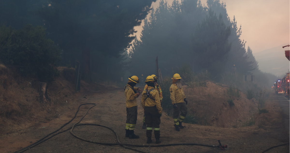 https://media.biobiochile.cl/wp-content/uploads/2026/01/cinco-incendios-siguen-en-combate-en-la-araucania.png