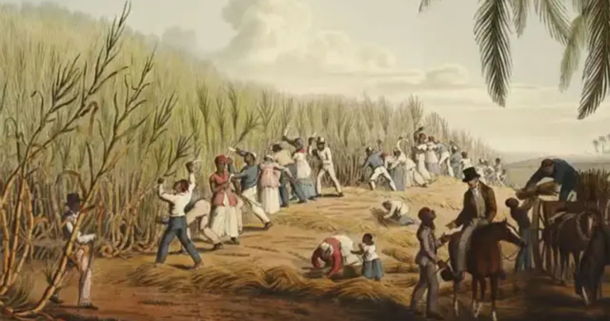 Retrato del comercio de azúcar en el Caribe