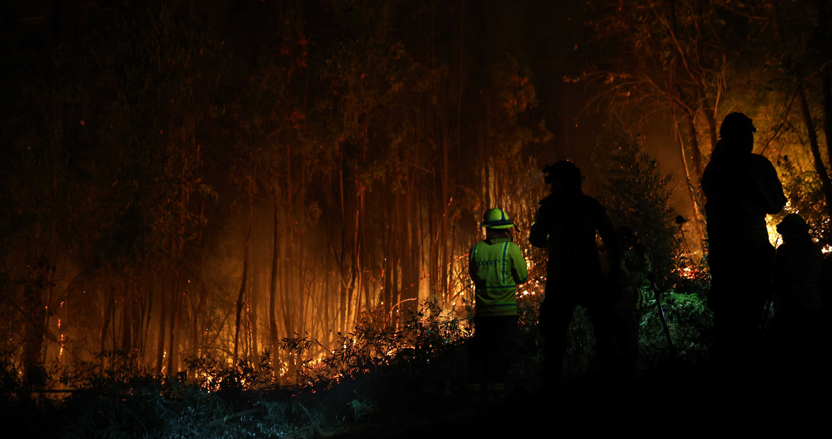 Conaf: 30 incendios forestales siguen en combate en O’Higgins, Maule, Ñuble, Bío Bío y La Araucanía
