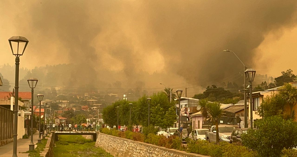Conaf mantiene 24 incendios forestales en combate: Ñuble y Bío Bío continúan en Alerta Roja