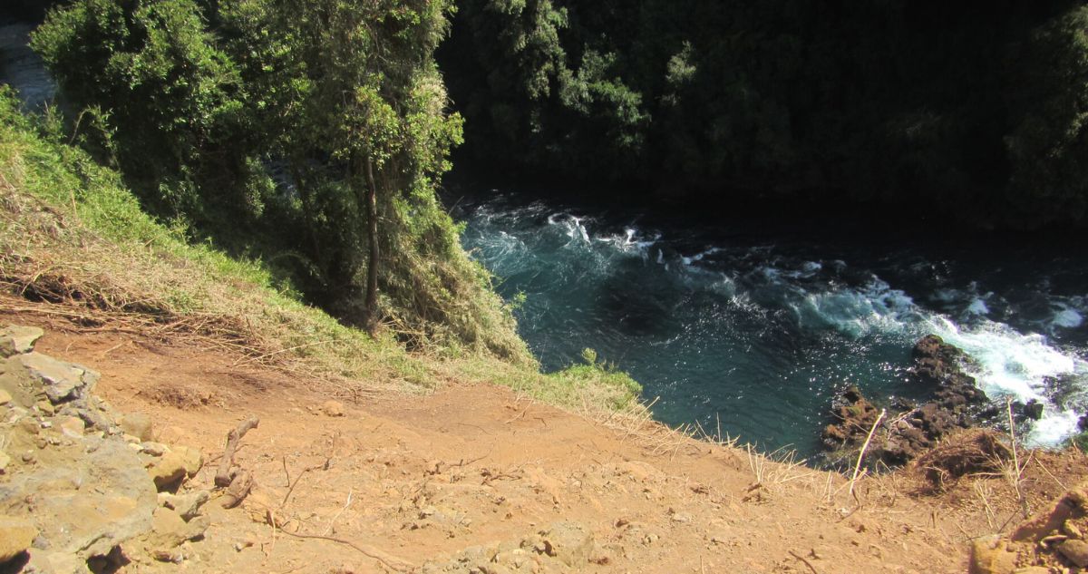 Conaf detecta irregularidades y presenta una nueva denuncia por alteración de la ladera del río Bueno