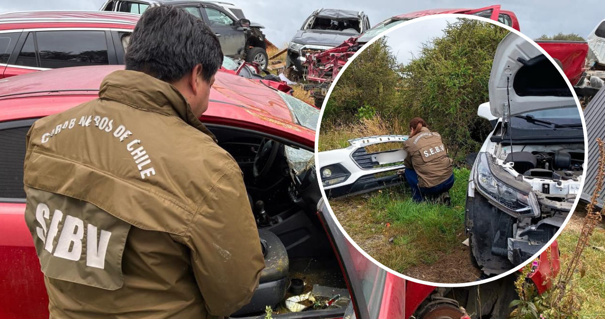 Detienen a dos personas por robo de vehículos que fueron recuperados en talleres mecánicos de Chiloé