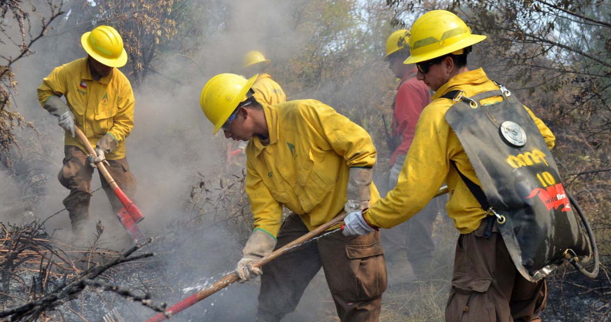 Balance de Conaf por incendios forestales en Los Lagos: 86 siniestros registrados en la temporada