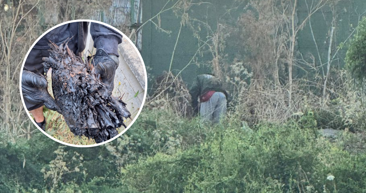 Detienen a sujeto que intentaba iniciar incendio en Penco