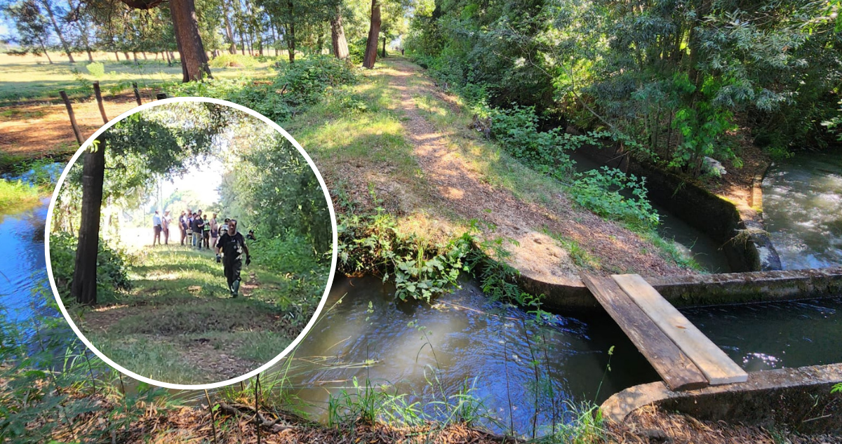 Hallan sin vida a hombre desaparecido hace más de una semana en Freire