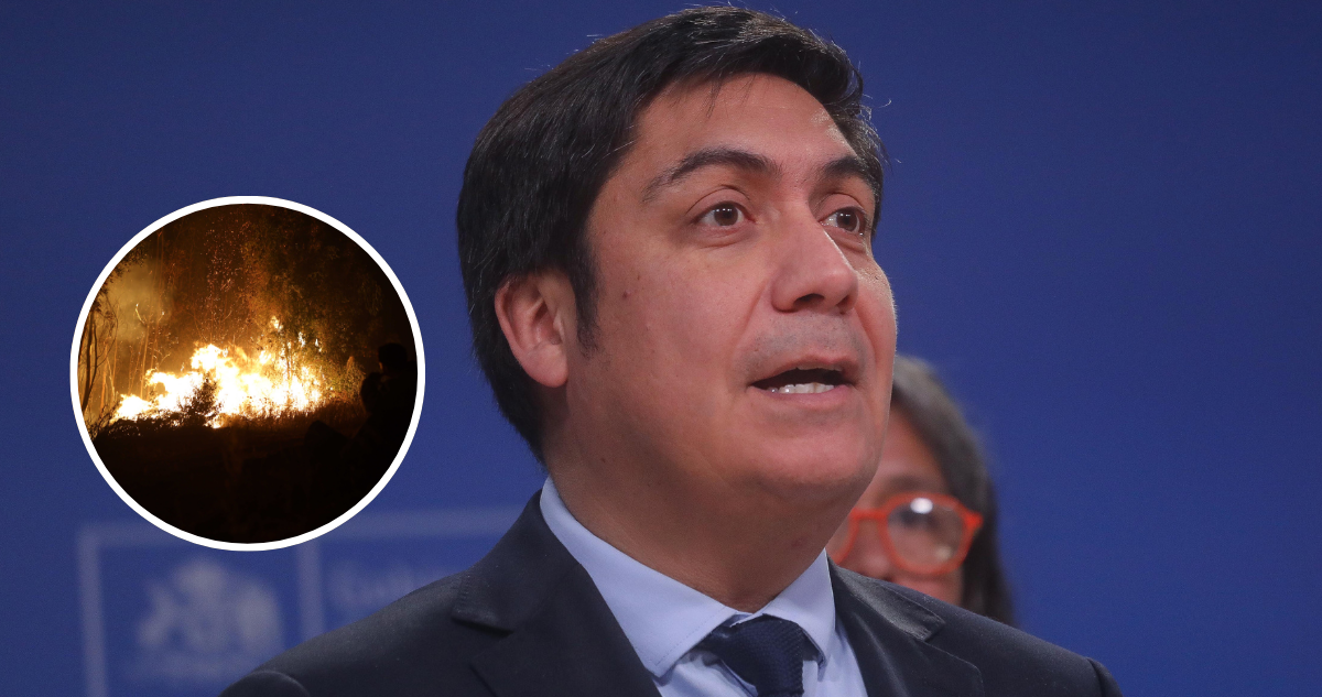 Agricultores refutan a subsecretario del Interior: afirman que incendios son intencionales