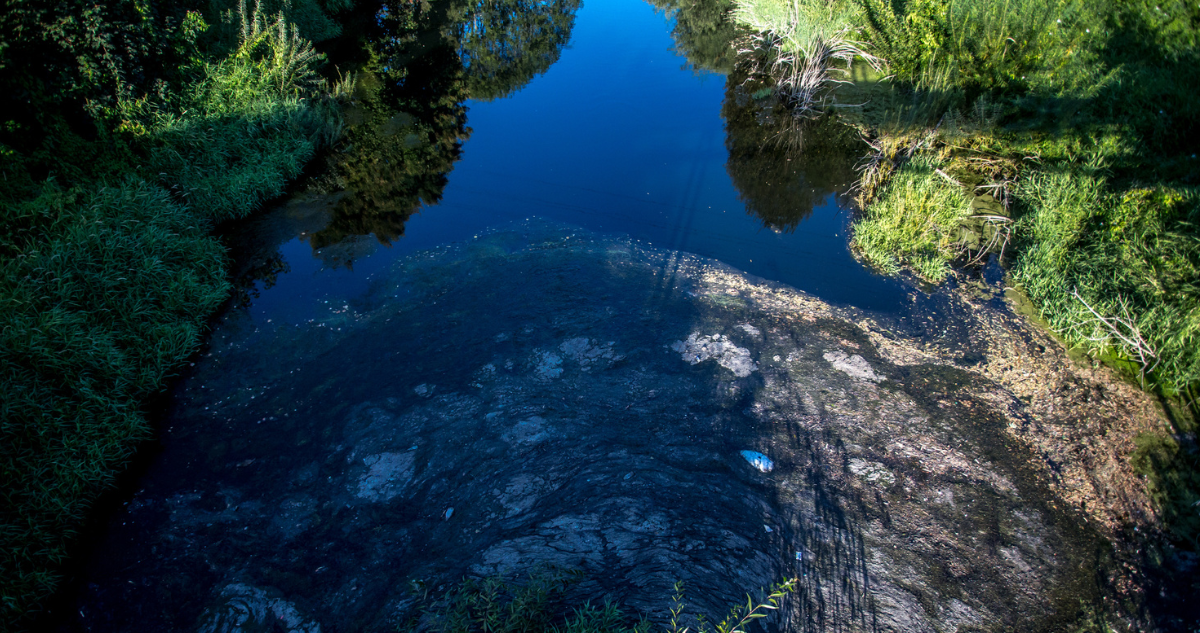 Red Ambiental de Osorno advierte que río Damas no está apto para el baño, pese a menor contaminación