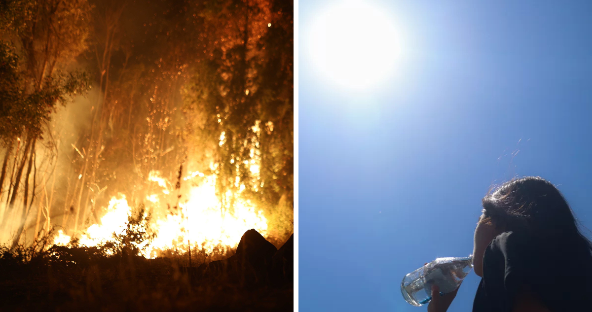 Decretan Alerta Temprana Preventiva en provincia de Osorno por riesgos de incendios forestales