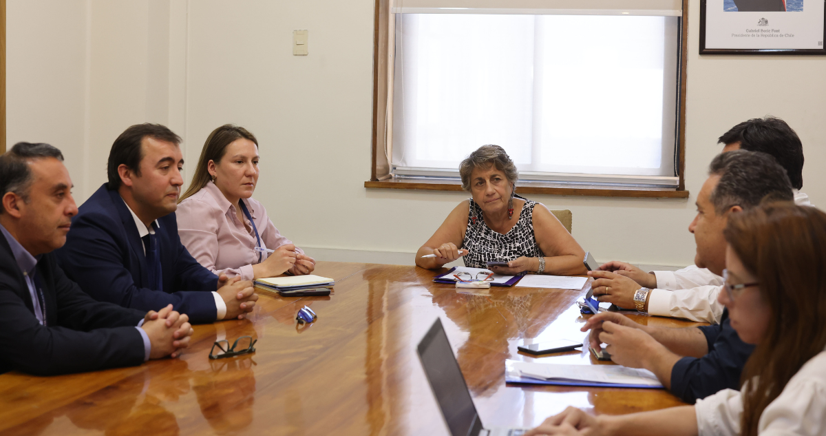 Autoridades analizan pavimentación de la Ruta CH-235 y proyecto de ruta insular Palena-Chiloé