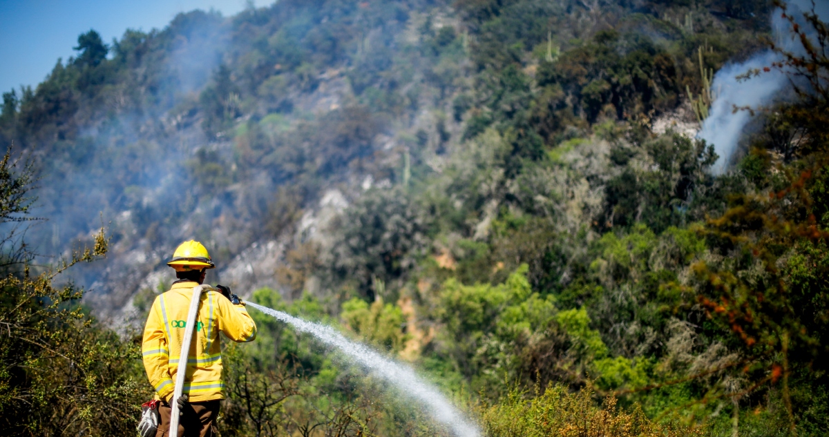 https://media.biobiochile.cl/wp-content/uploads/2026/01/contraloria-deficiencias-conaf-incendios-forestales-.jpg