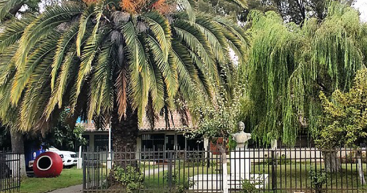 Contraloría detecta millonarios pagos por servicios no prestados en municipio de Trehuaco