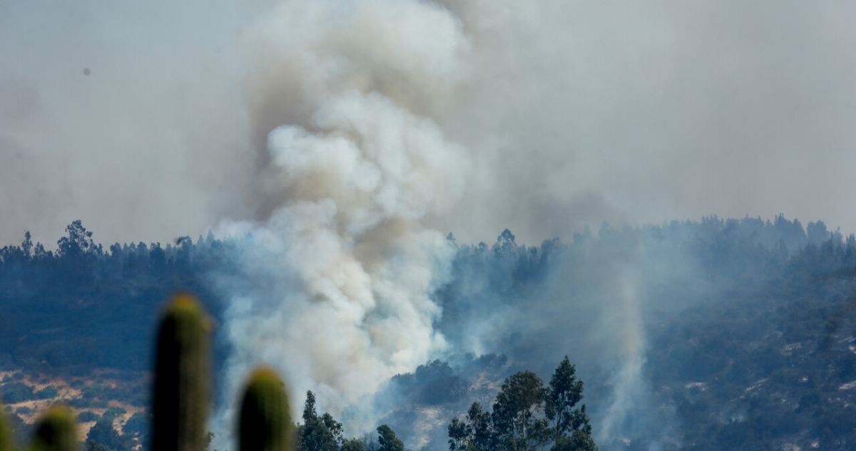 Declaran alerta roja en Angol por incendio forestal