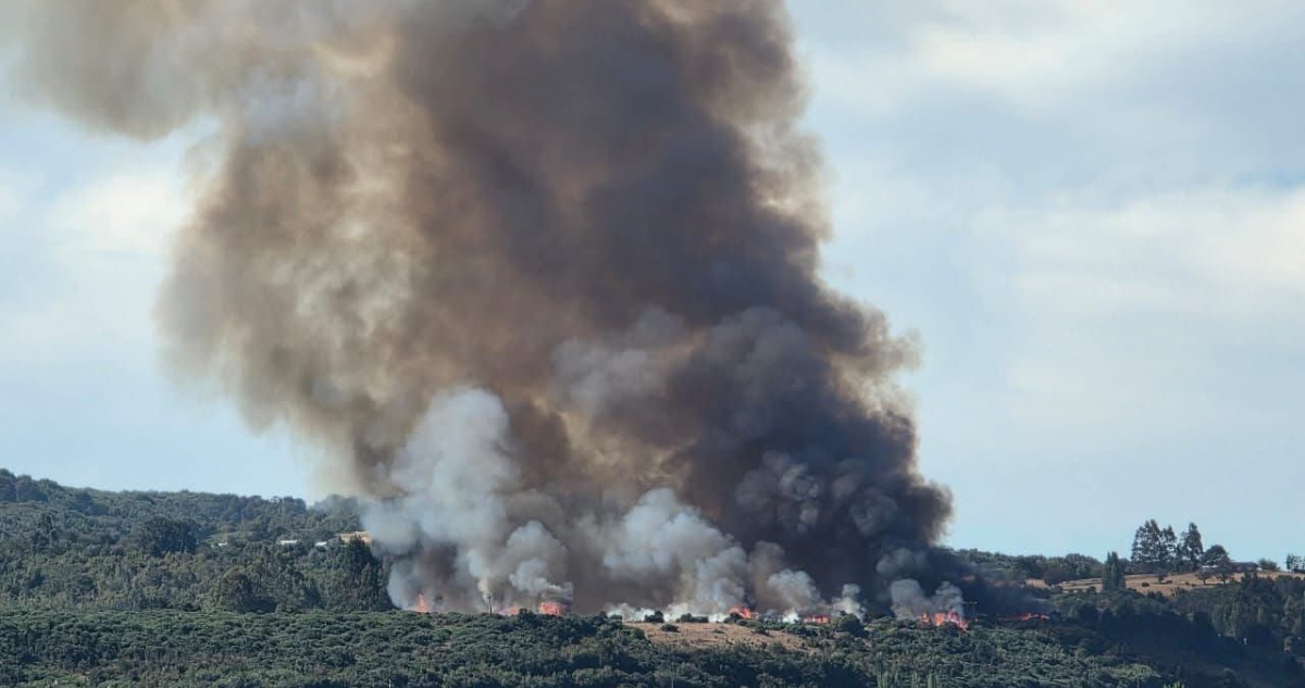 Declaran Alerta Roja en la comuna de Chonchi por incendio forestal