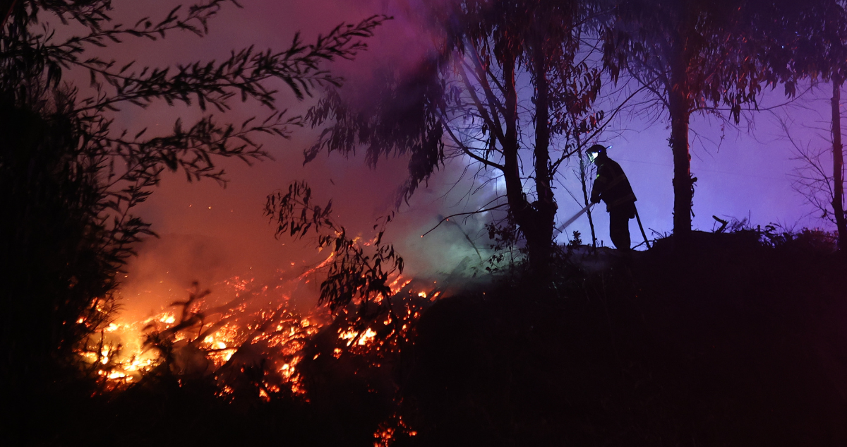 https://media.biobiochile.cl/wp-content/uploads/2026/01/declaran-alerta-roja-en-lonquimay-por-incendio-forestal-cercano-a-reserva-nacional-nalcas.png