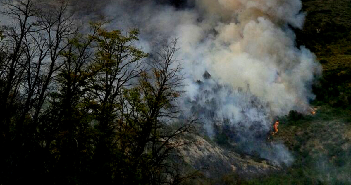 Decretan Alerta Roja en Pinto por incendio forestal que afecta a la Reserva Ñuble