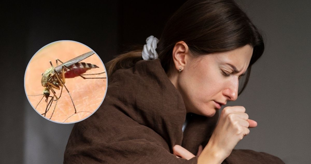 Cómo reconocer los síntomas del Dengue: mosquito está en Chile y te “rastrea” por método infrarrojo