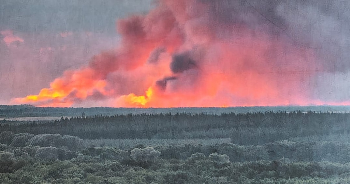 Detalle de la portada de El problema del fin del mundo, de Julio rojas, Penguin Random House