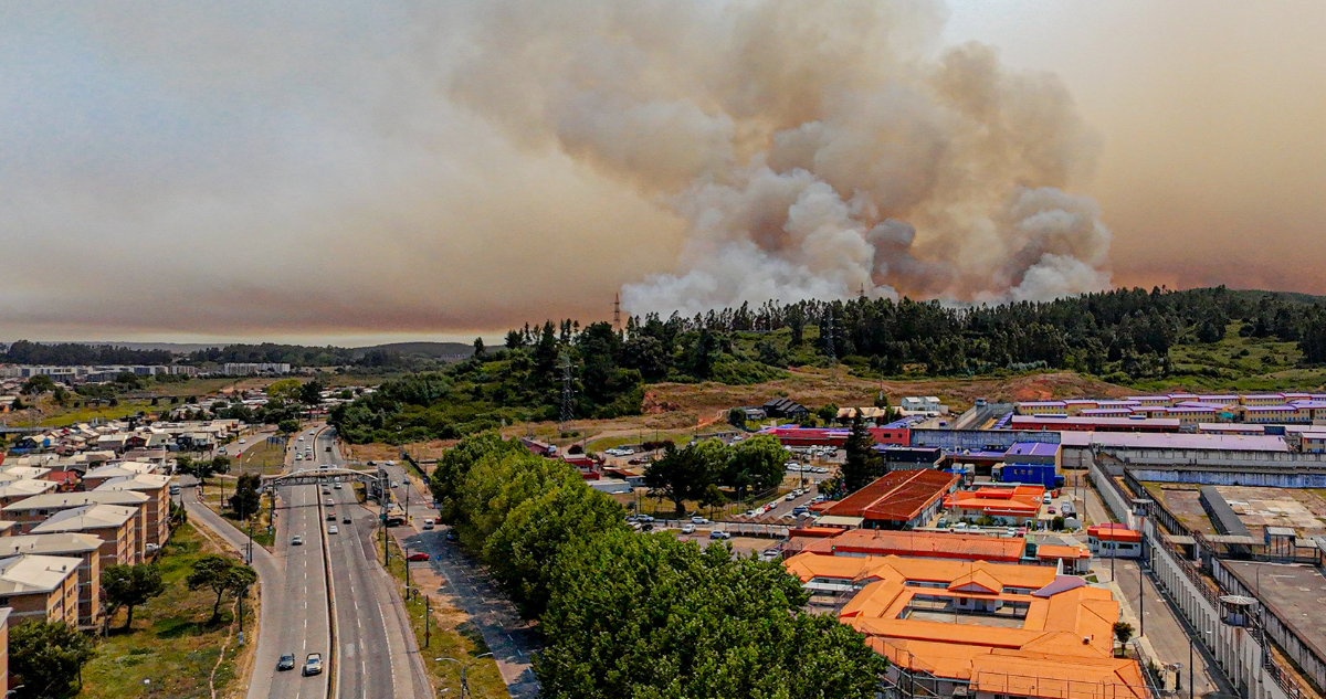 Más de 17 mil hectáreas consumidas por incendios forestales en el Bío Bío, según último reporte Conaf