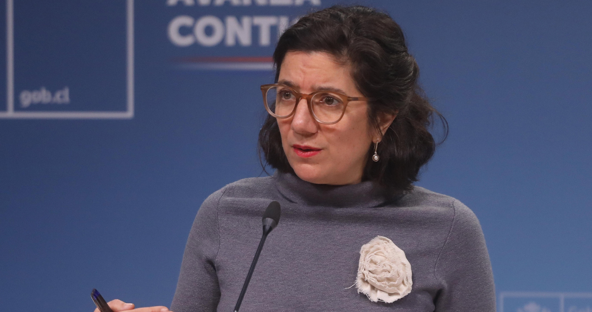 Diputados electos acusan lógica de “sillita musical” en el Gobierno tras nuevo cargo de Etcheverry