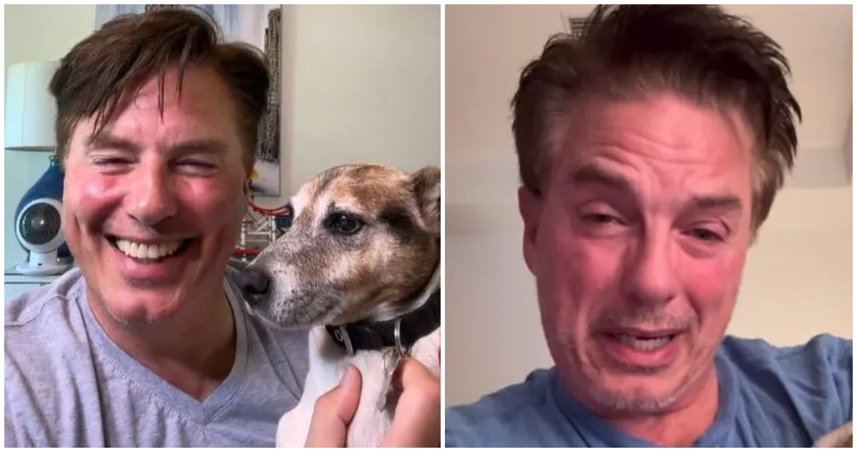 Duras críticas a actor de “Doctor Who” por posar en redes con perro fallecido: “¿Qué le pasa?”