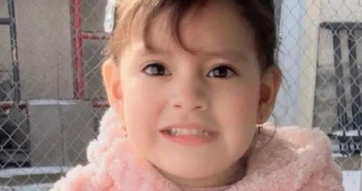 Ecuador confirma que niña de 2 años detenida por ICE en EE.UU. está con su madre